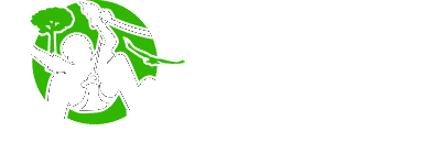 Canopy Tours